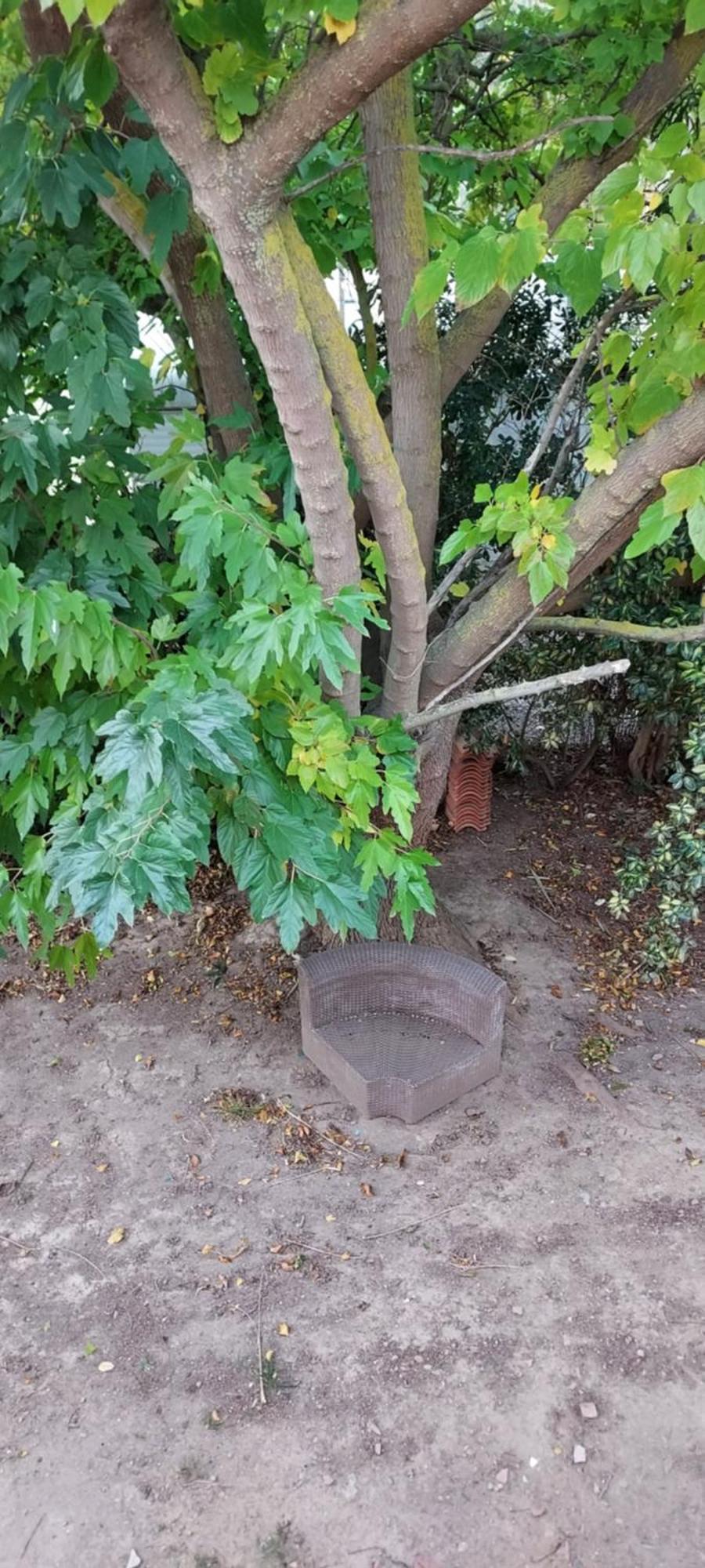 Le Barcares Logement Climatise Pour 6 Personnes, Draps Et Serviettes Non Fournis Air-Conditioned Accommodation For 6 People, Sheets And Towels Not Provided Alojamiento Con Aire Acondicionado Para 6 Personas, Sabanas Y Toallas No Incluidas Exterior photo